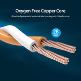 Cat8 Ethernet Network Cable / Adapter